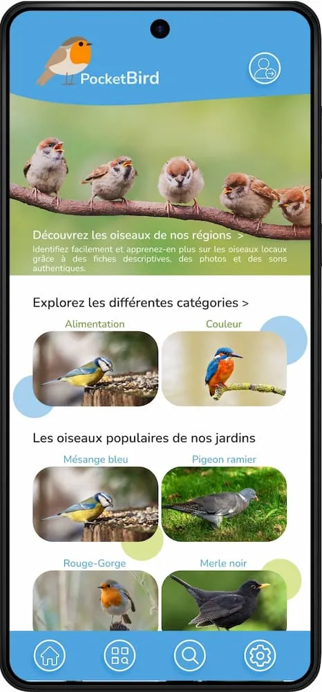 Homepage pocketbird
