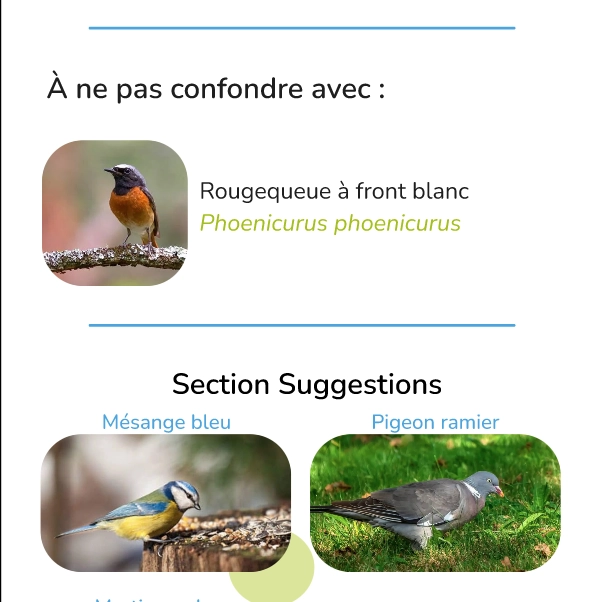 Section redirection sur la page détail