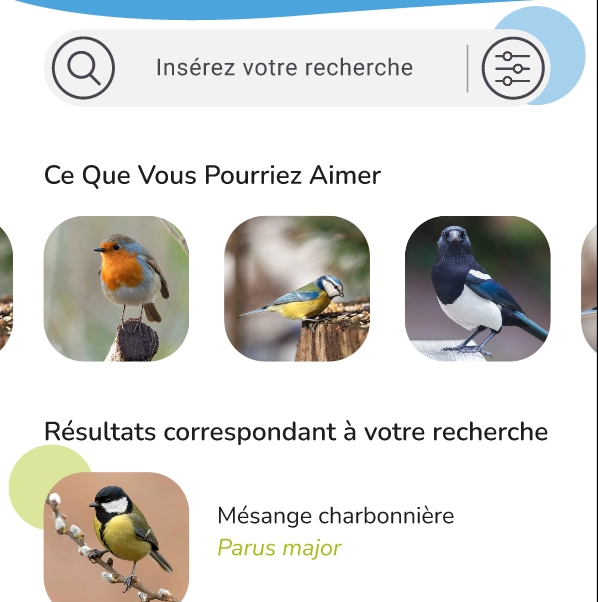 Page recherche de PocketBird