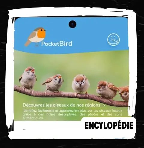 Image du projet encyclopedie